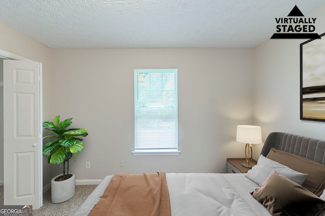 8051 Trinity Park Dr, Riverdale, GA 30296 - carpeted bedroom featuring baseboards, multiple windows, and a textured ceiling