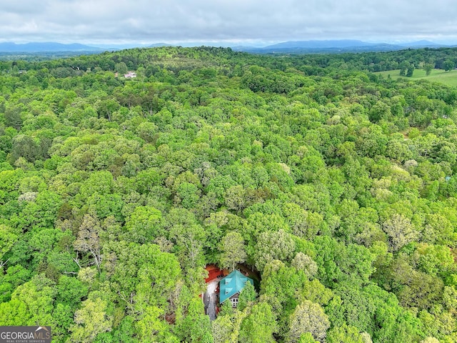 455 Old Cherokee Rd, Cleveland, GA 30528 - drone / aerial view featuring a mountain view and a forest view