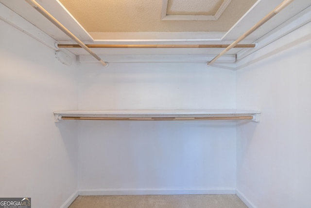 spacious closet featuring light carpet