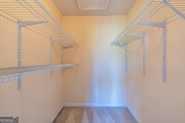 spacious closet featuring carpet