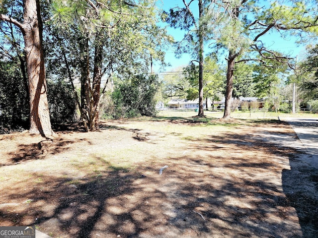 802 Colquitt Cir, Albany, GA 31707 - view of yard