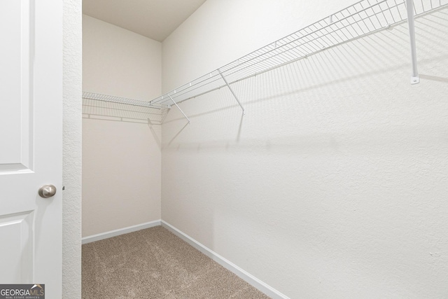 267 Oliver Dr, Locust Grove, GA 30248 - spacious closet featuring carpet flooring