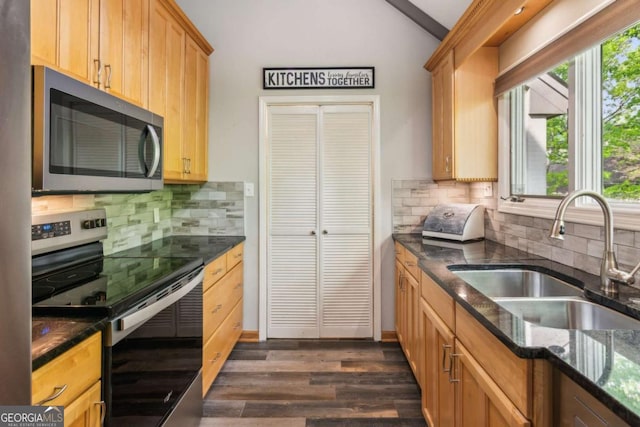 kitchen with tasteful backsplash, lofted ceiling, appliances with stainless steel finishes, a sink, and dark wood-type flooring