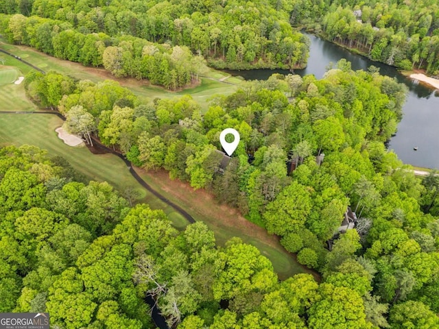drone / aerial view with a water view and a view of trees