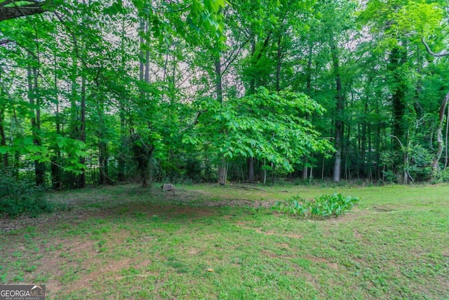 3664 Satellite Ter, Ellenwood, GA 30294 - view of yard featuring a view of trees