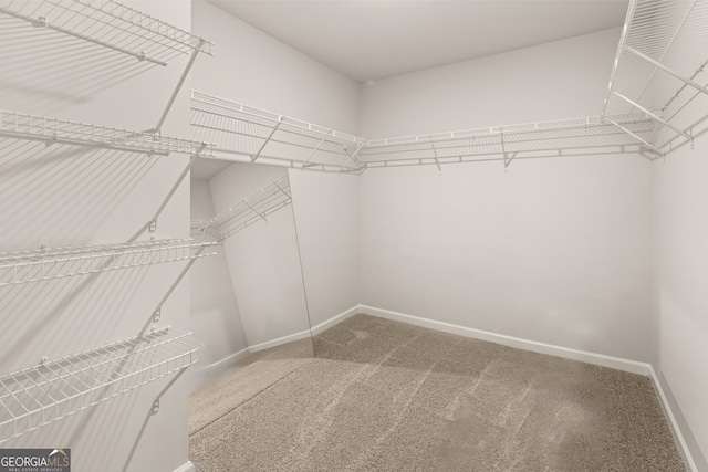 spacious closet with carpet