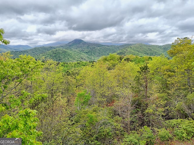 2608 The Rdgs, Hiawassee, GA 30546 - view of mountain background featuring a heavily wooded area
