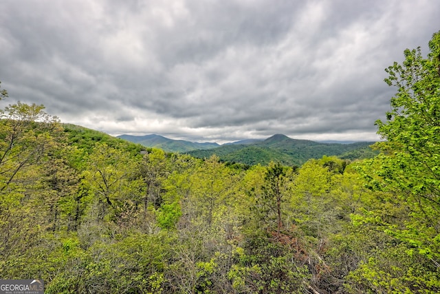 2608 The Rdgs, Hiawassee, GA 30546 - view of mountain background featuring a forest