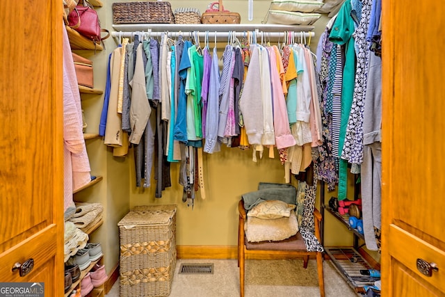 2608 The Rdgs, Hiawassee, GA 30546 - spacious closet with carpet floors