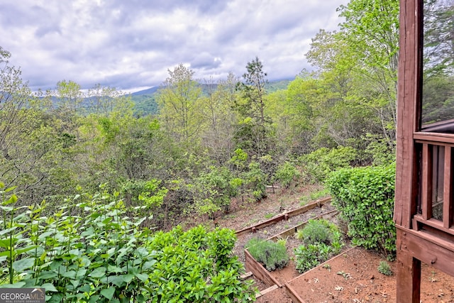 2608 The Rdgs, Hiawassee, GA 30546 - view of yard featuring a garden and a view of trees