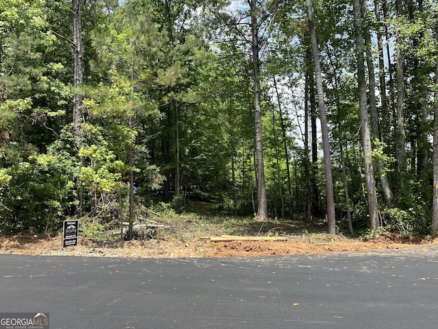 0 Spiva Rd, Temple, GA 30179