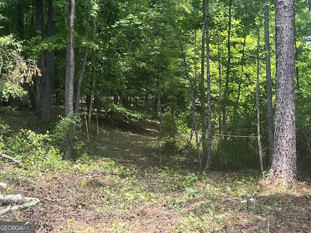 0 Spiva Rd, Temple, GA 30179