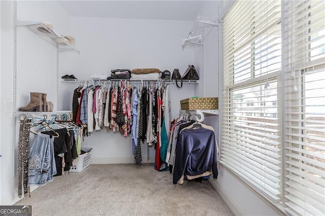 spacious closet featuring carpet
