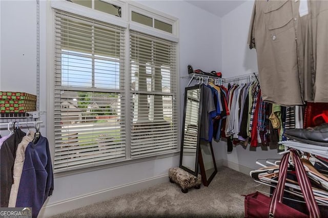 spacious closet featuring carpet floors