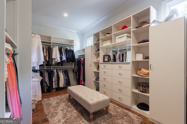walk in closet with wood finished floors