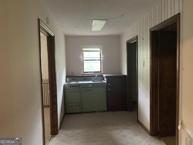 96 Glencrest Dr, Toccoa, GA 30577 - laundry area featuring laundry area, light colored carpet, a sink, washing machine and dryer, and a textured ceiling