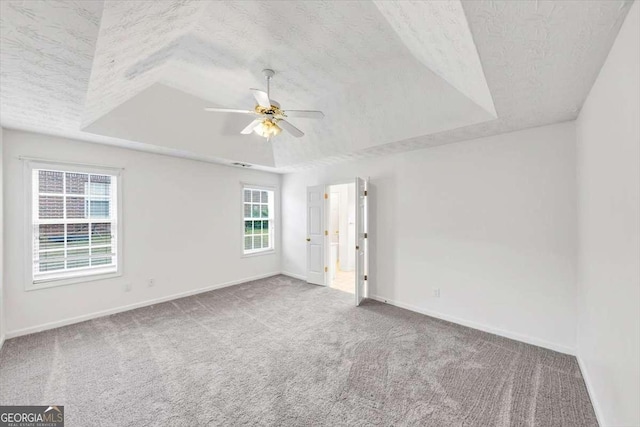 carpeted spare room with a textured ceiling, a raised ceiling, and a wealth of natural light