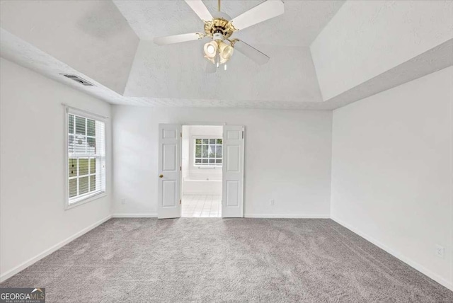 spare room with a raised ceiling, carpet, and plenty of natural light