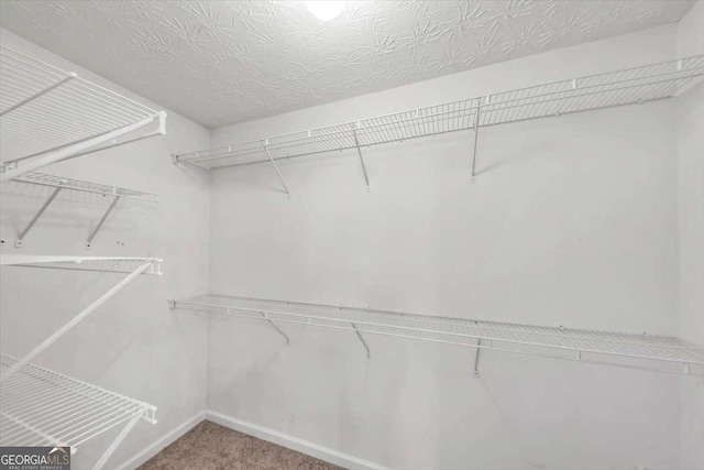 spacious closet with carpet flooring