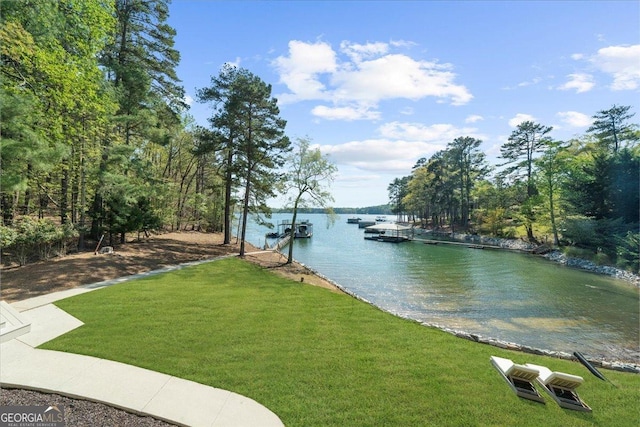 water view featuring a boat dock