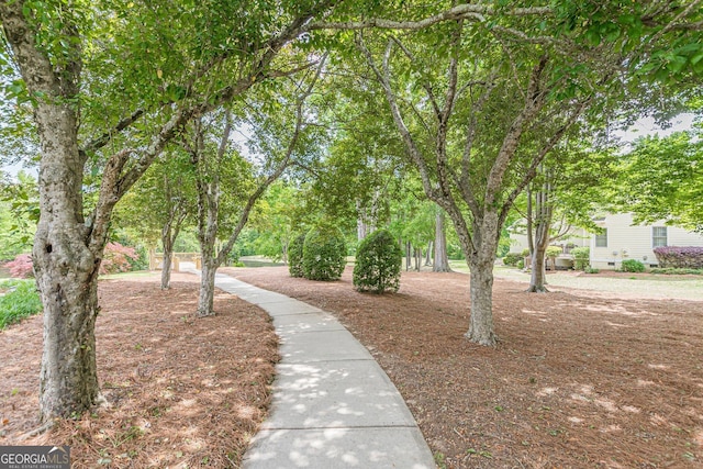 view of home's community