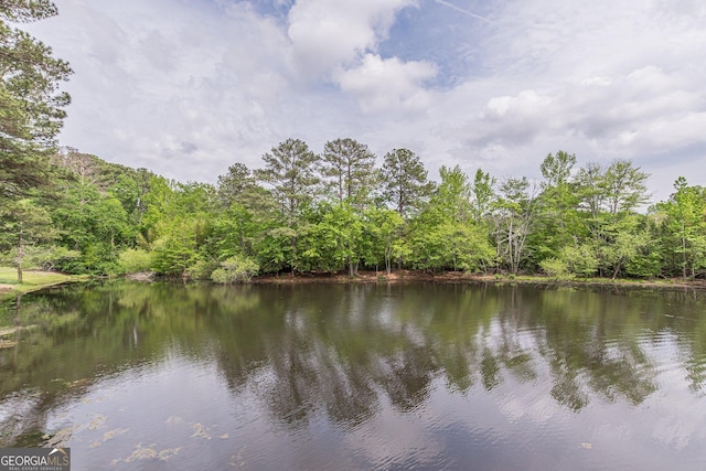 water view with a view of trees