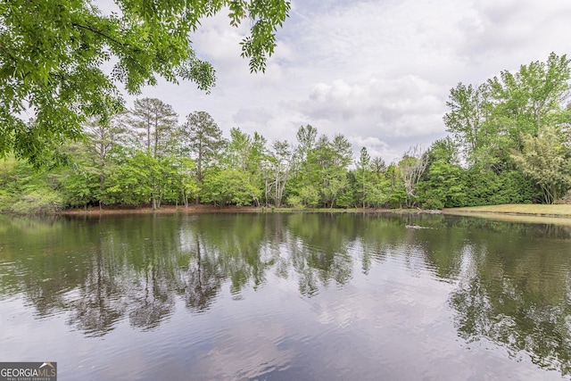 property view of water with a wooded view