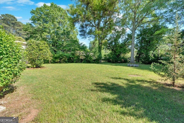 3951 Lindley Dr, Powder Springs, GA 30127 - view of green lawn