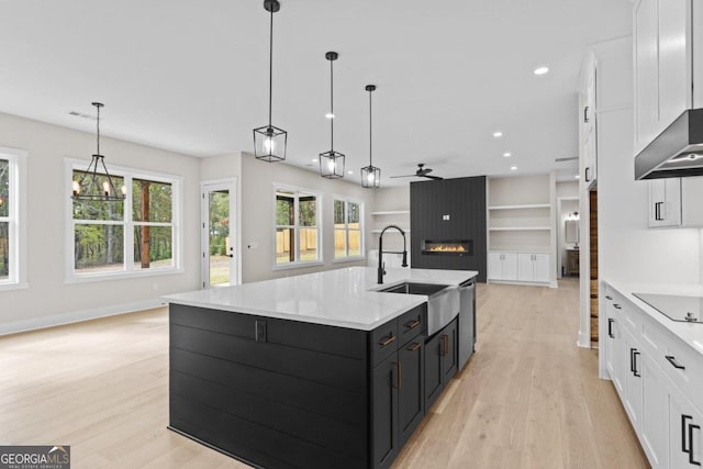 kitchen featuring light wood-style floors, white cabinets, black electric cooktop, dark cabinetry, and a sink