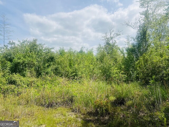26.5ACRES Cherokee St, Waycross, GA 31503