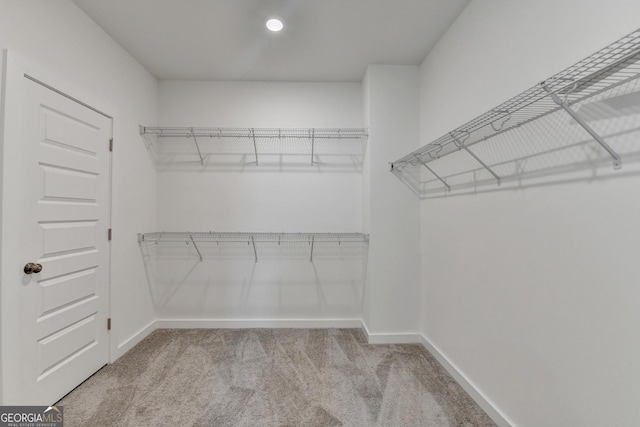 spacious closet with carpet