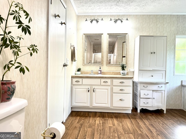350 Kitty Hawk Ln, Clarkesville, GA 30523 - bathroom with crown molding, vanity, toilet, and wood finished floors