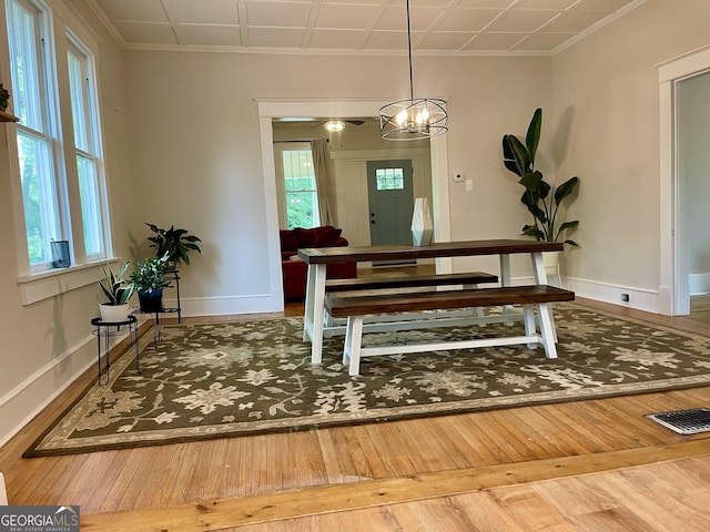 dining space with hardwood / wood-style floors, baseboards, and a wealth of natural light