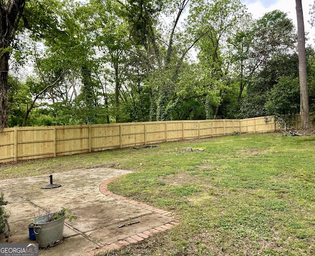 view of yard featuring a patio and a fenced backyard