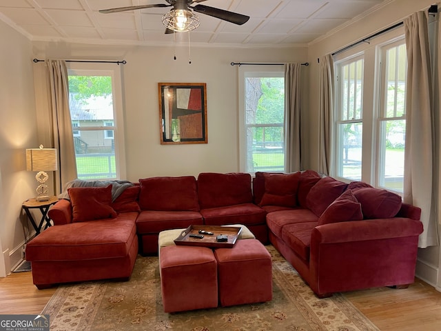 living room with ornamental molding, light wood finished floors, a ceiling fan, and a healthy amount of sunlight