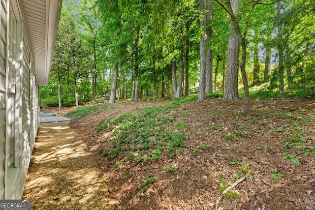 120 N Blf, Alpharetta, GA 30004 - view of yard