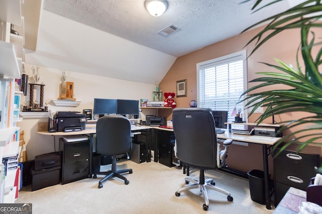407 Gladiola Dr, Auburn, GA 30011 - office space featuring a textured ceiling, visible vents, vaulted ceiling, and light colored carpet