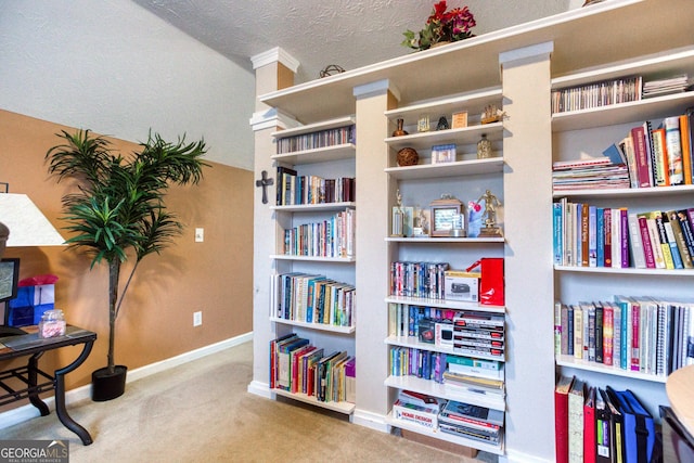 407 Gladiola Dr, Auburn, GA 30011 - sitting room featuring a textured ceiling, bookshelves, carpet flooring, and baseboards