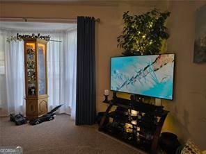 6193 Charring Cross Ct, Lithonia, GA 30058 - home theater featuring carpet