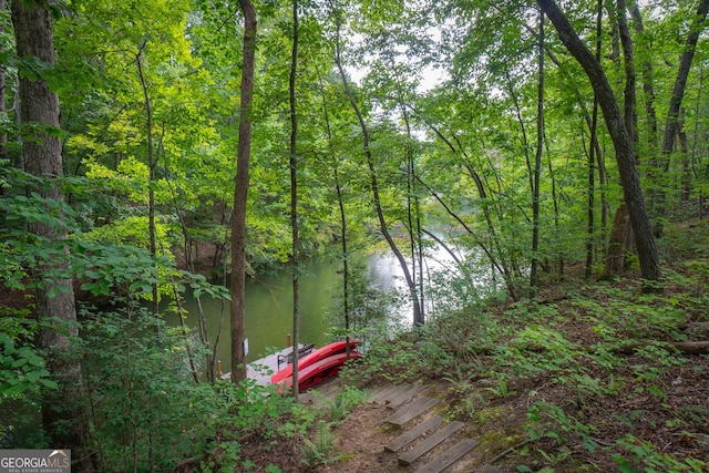 water view featuring a wooded view