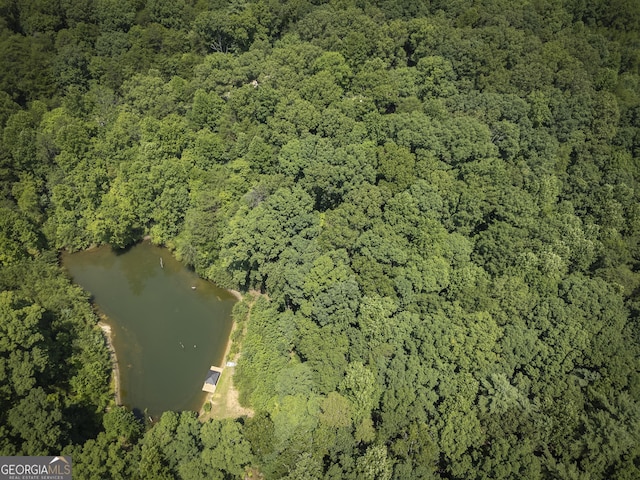 birds eye view of property with a wooded view and a water view