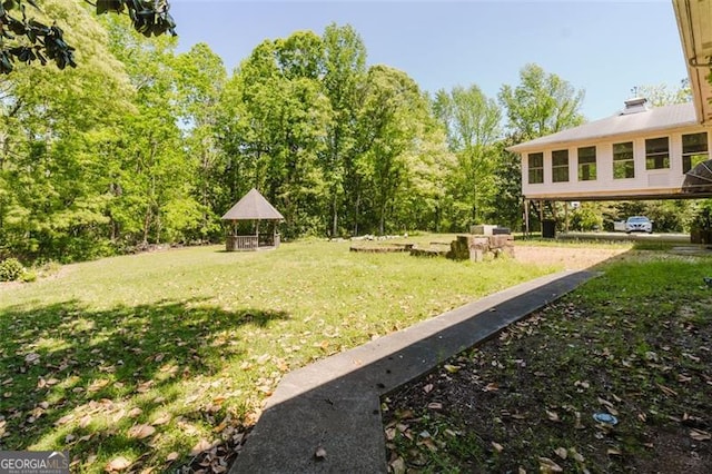 11433 Panhandle Rd, Hampton, GA 30228 - view of yard