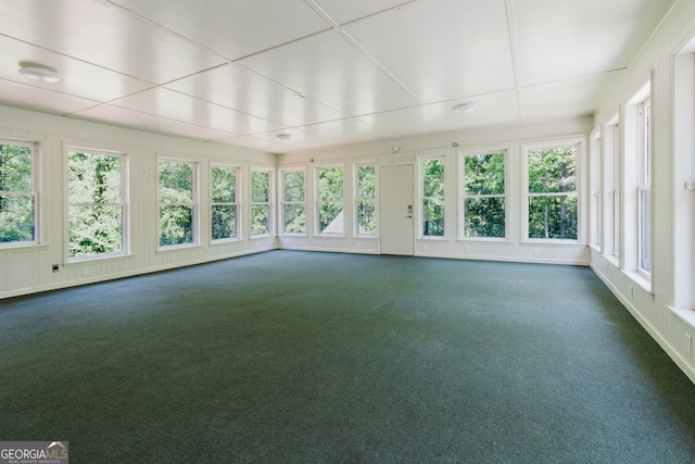 11433 Panhandle Rd, Hampton, GA 30228 - unfurnished sunroom with carpet floors and plenty of natural light