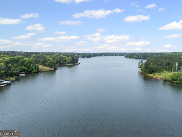 43 Cowan Ct, Mansfield, GA 30055 - water view featuring a heavily wooded area
