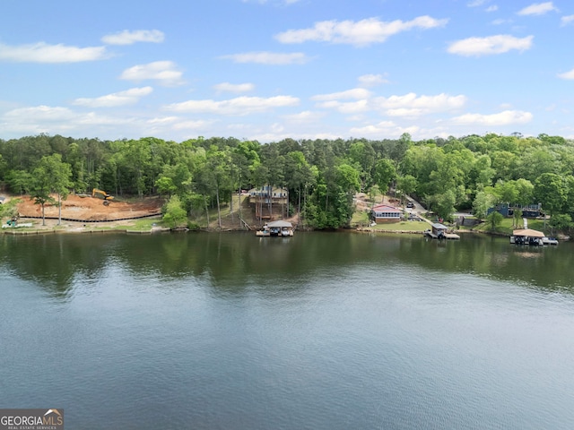 43 Cowan Ct, Mansfield, GA 30055 - water view with a forest