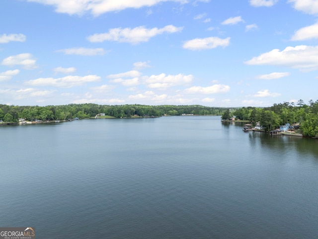 43 Cowan Ct, Mansfield, GA 30055 - water view featuring a heavily wooded area