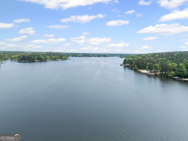 43 Cowan Ct, Mansfield, GA 30055 - water view