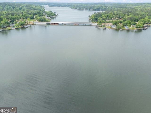 43 Cowan Ct, Mansfield, GA 30055 - water view