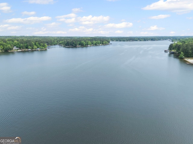 43 Cowan Ct, Mansfield, GA 30055 - water view