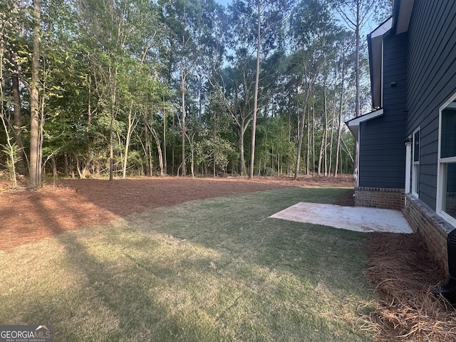 view of yard featuring a patio area